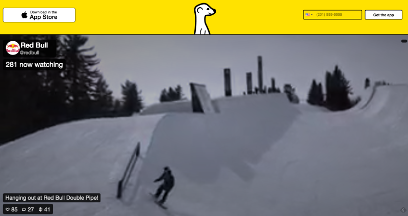 meerkat-redbull-800x424