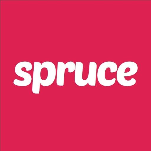 spruce